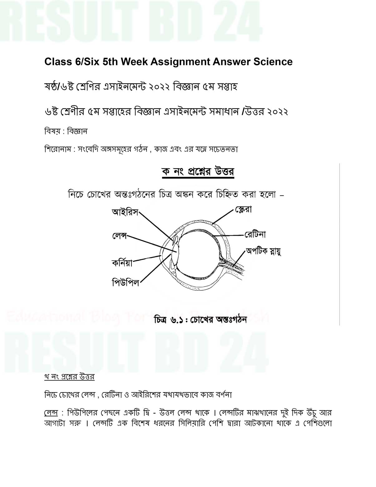01 3 Class 6 5th Week Assignment Answer 2022 Math, Science